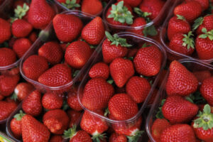 Fragole cestino