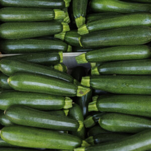 Zucchine piccole