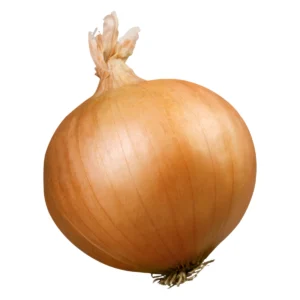 Cipolla dorata