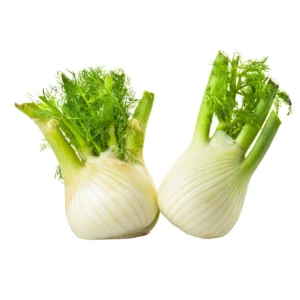 Finocchi