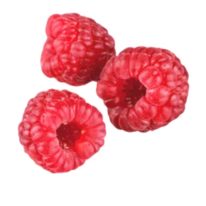 Lamponi vaschetta 125g