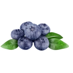 Mirtilli vaschetta da 125g