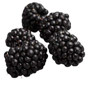More vaschetta da 125g