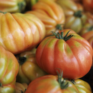 pomodoro cuore di bue