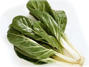 BIETE COSTE