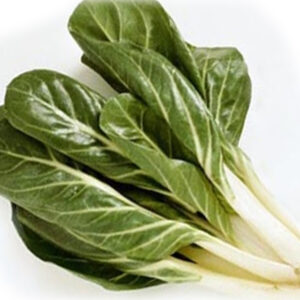 BIETE COSTE