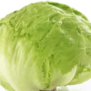 Insalata ghiaccio o Iceberg