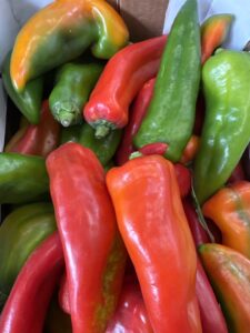 peperoni corno