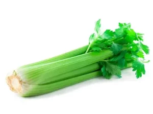 sedano verde