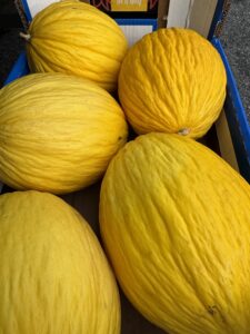 Melone Giallo