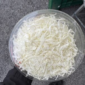 Cavolo cappuccio tagliato sottile