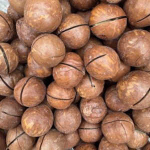 Noce di Macadamia aromatizzata alla vaniglia