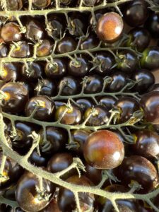 Ciliegino nero